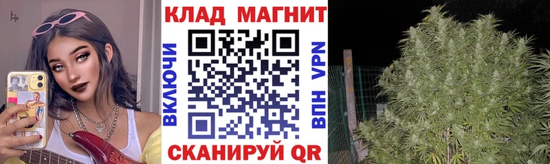 Где купить наркотики Лесозаводск А ПВП  АМФ  МЕФ 