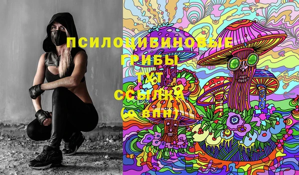 гашик Михайловка