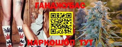 крисы Волжский